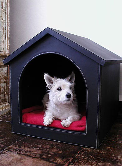 Dog House